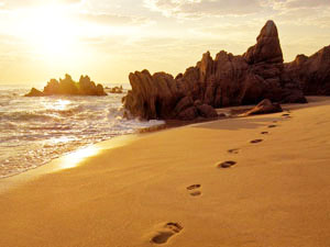 Footprints in the sand on beach near San José del Cabo, Mexico at sunrise